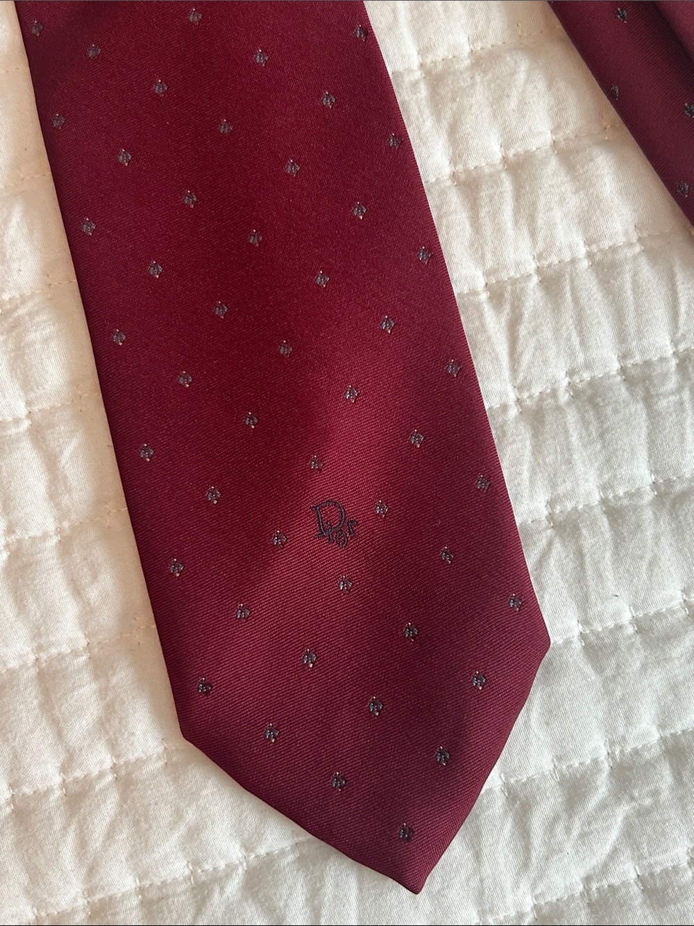 Christian Dior Tie